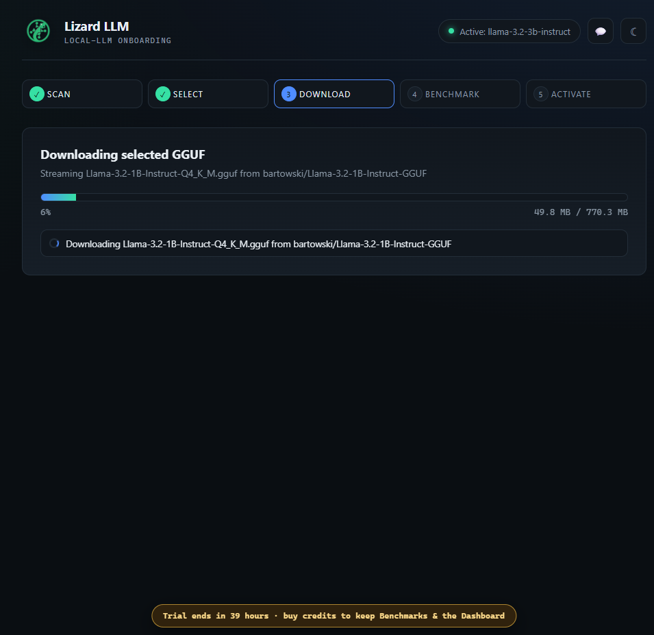 Selected GGUF download progress